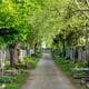 Bergungshaus Schlage; Friedhof mit Gräbern und grünen Bäumen für ein würdiges Abschiednehmen.
