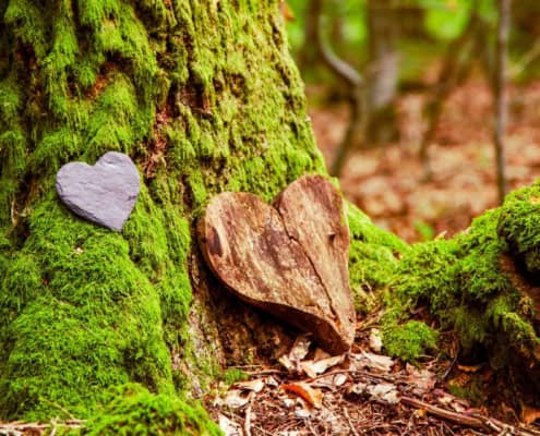 Bestattungsverfügung