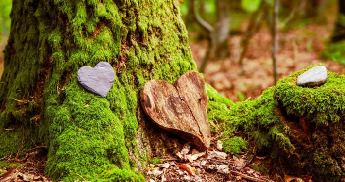 Bestattungsverfügung