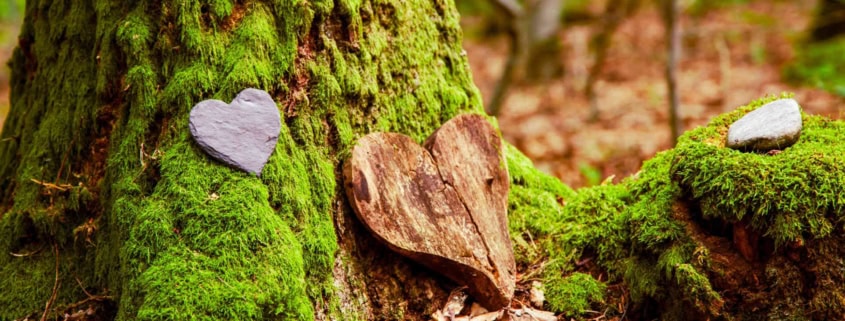 Bestattungsverfügung